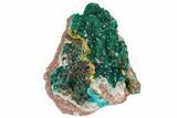 2.6" Gemmy Dioptase and Mimetite on Dolomite - Ntola Mine, Congo - #130499-2